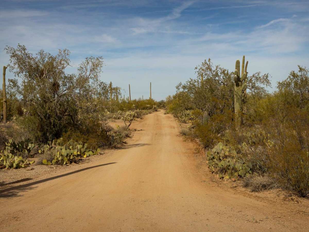 South Pygmy Owl Trail trail photo