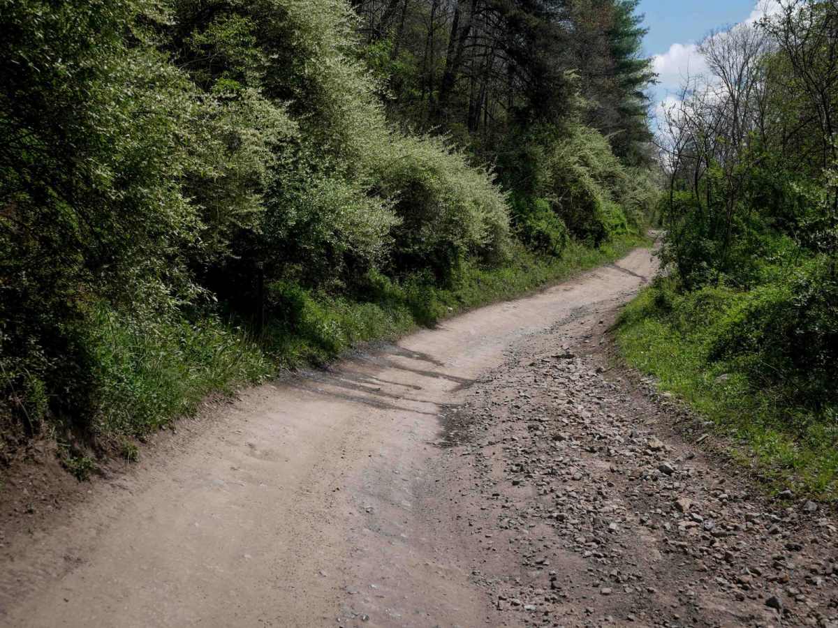 P18 trail photo