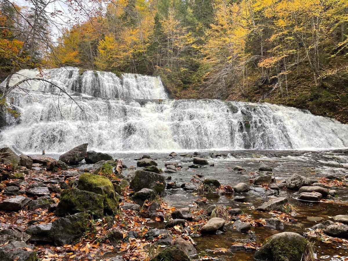 Pipers Glen Road trail photo
