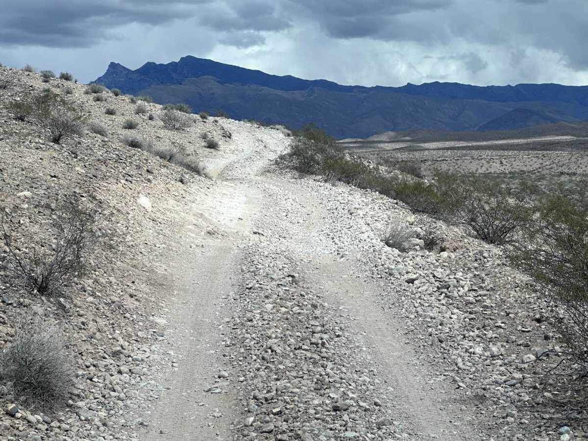 NPS 113 photo 5