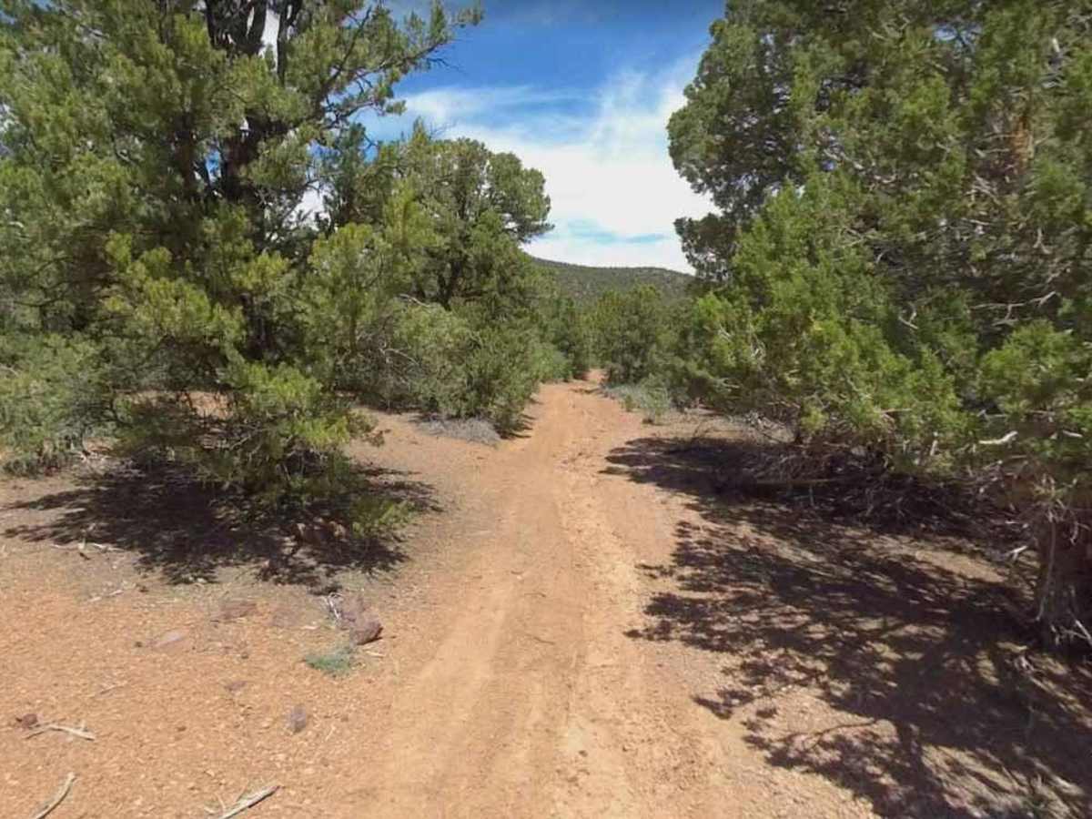 Burn Road photo 3
