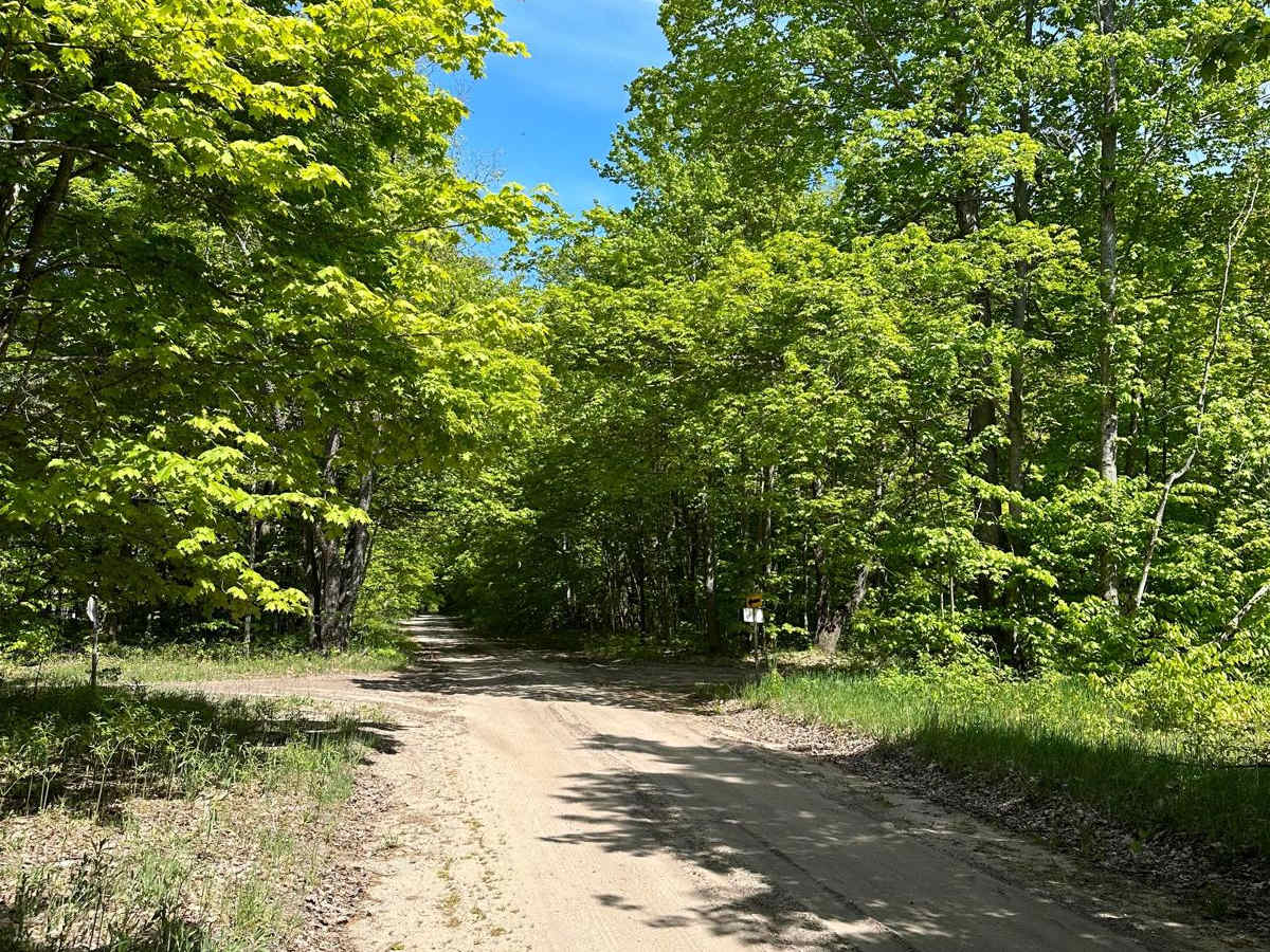 Oviatt Road photo 2