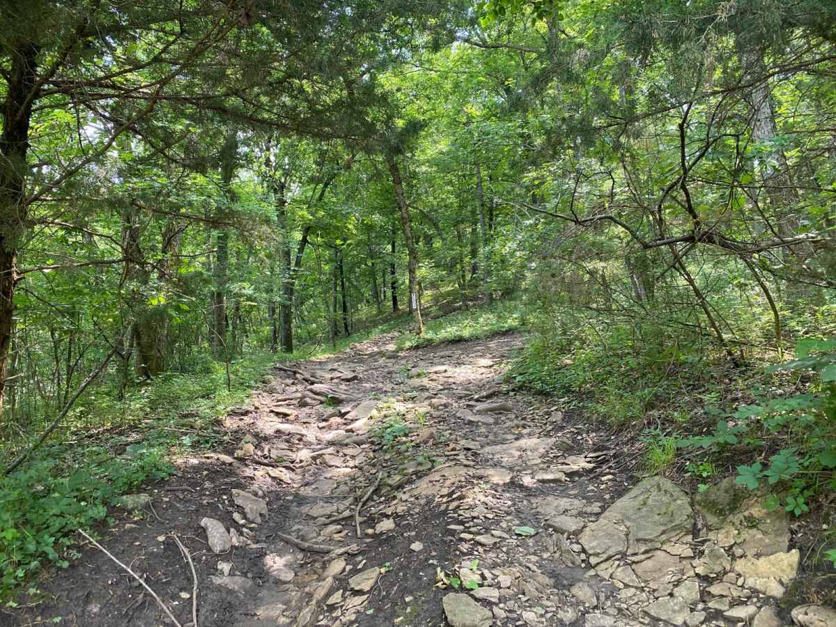 Robin's Rollover trail photo