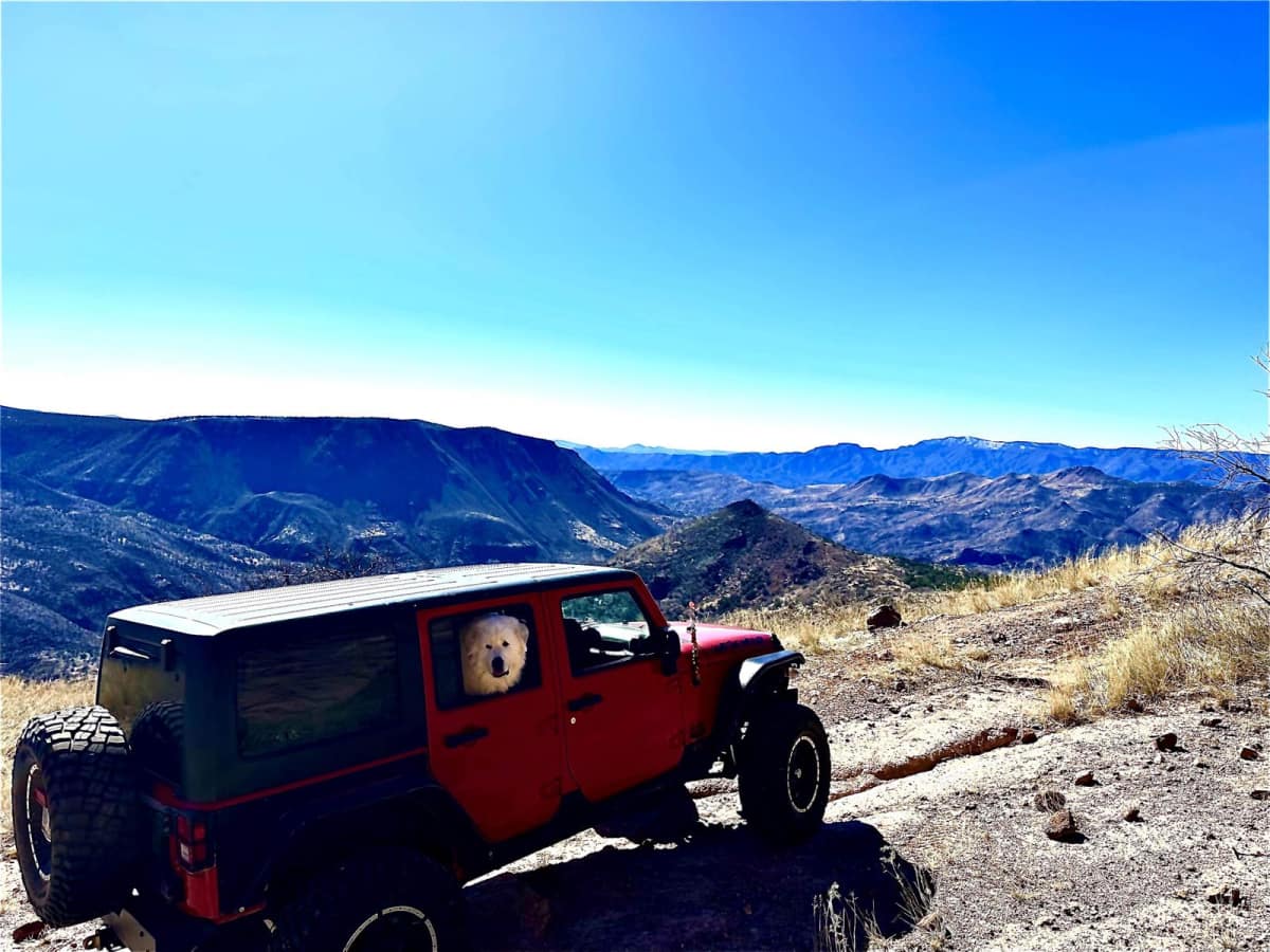 9D Technical Trail photo 4