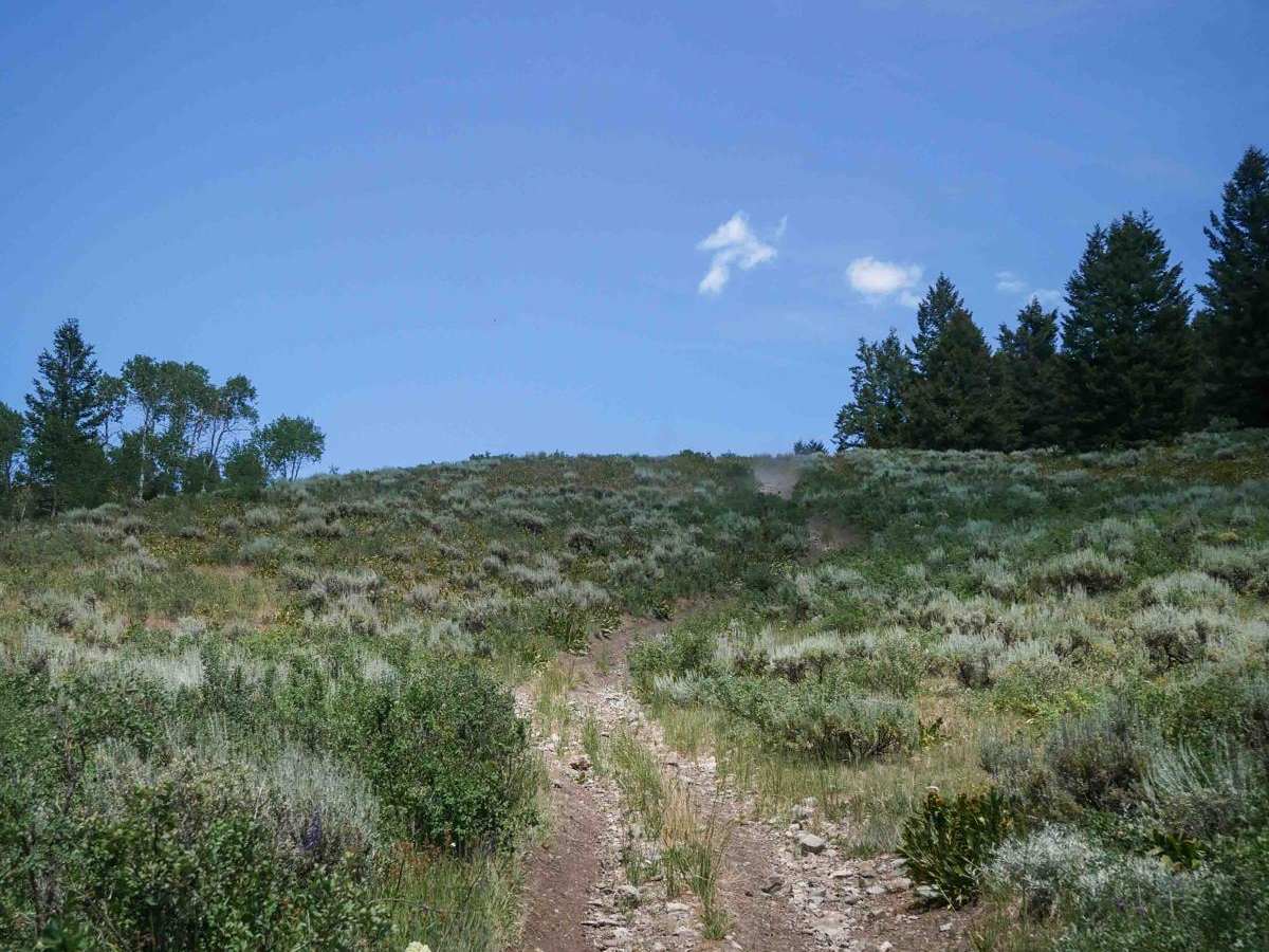 Cold Springs ATV Loop #5208  photo 4
