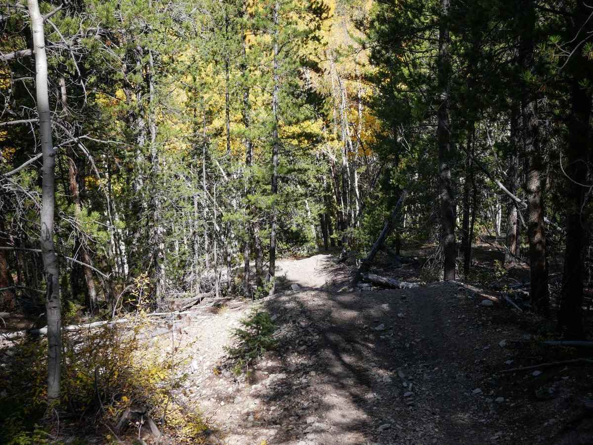 Right Hand ATV Trail photo 6
