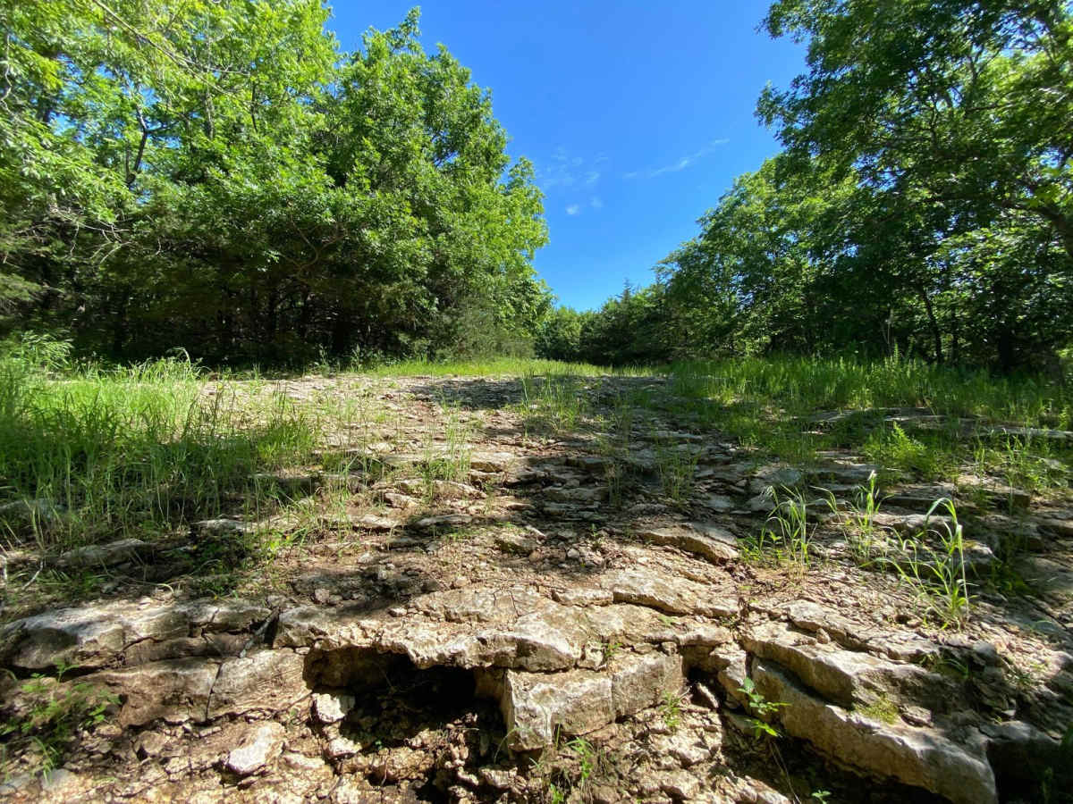 Skull Hill photo 3