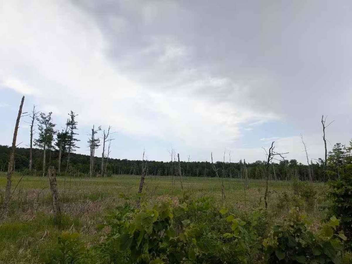 3772 photo 2