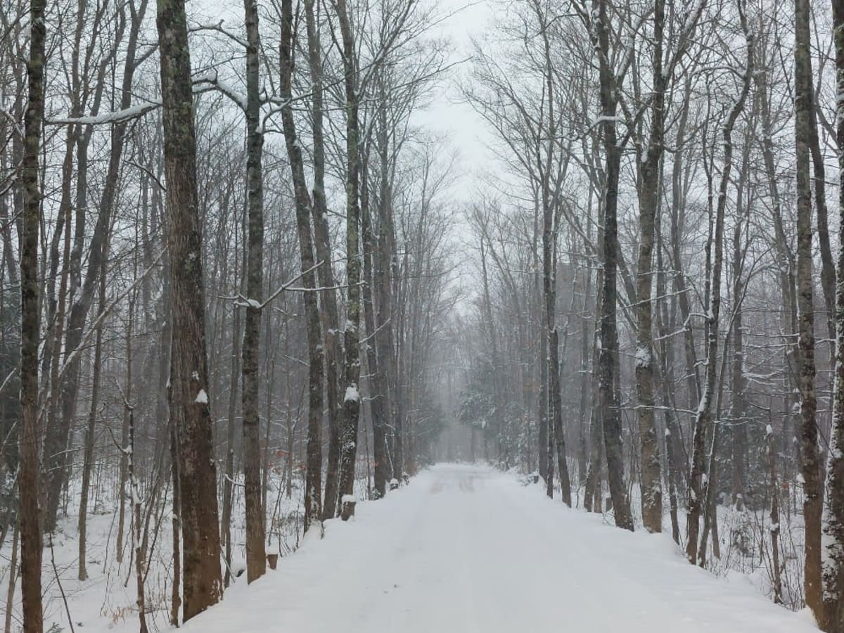 Covered Drive photo 5
