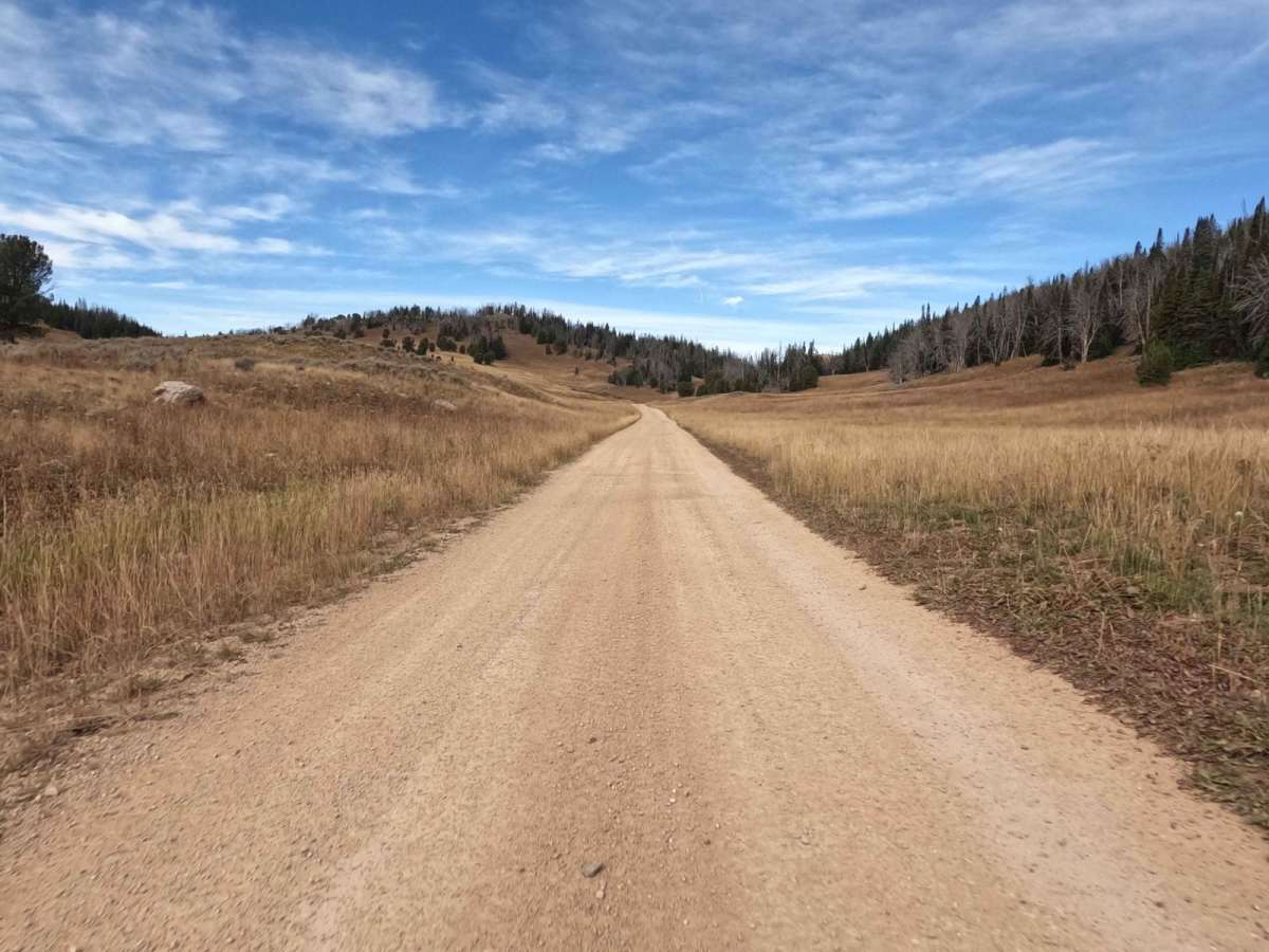 Cottonwood Creek Road - FS1012 photo 2