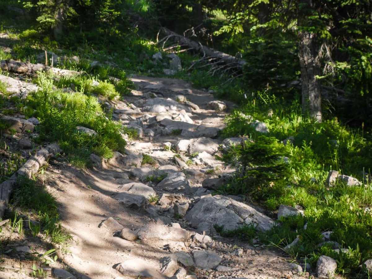Hahn's Peak photo 3