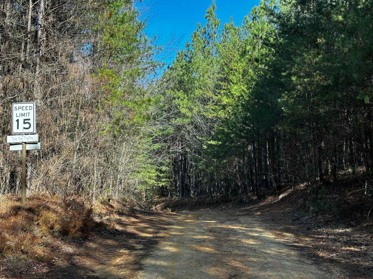 Main Road North trail photo
