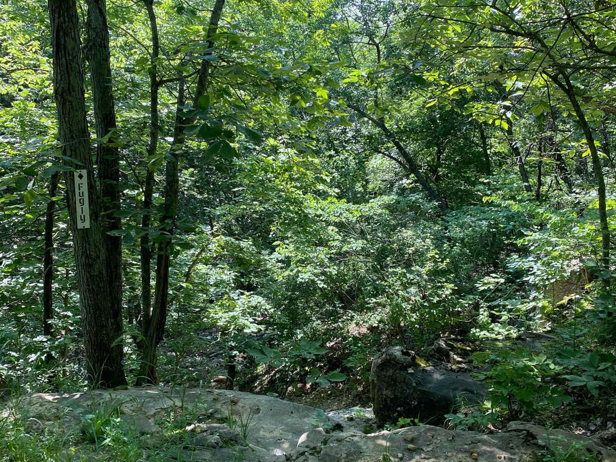 Fugly trail photo