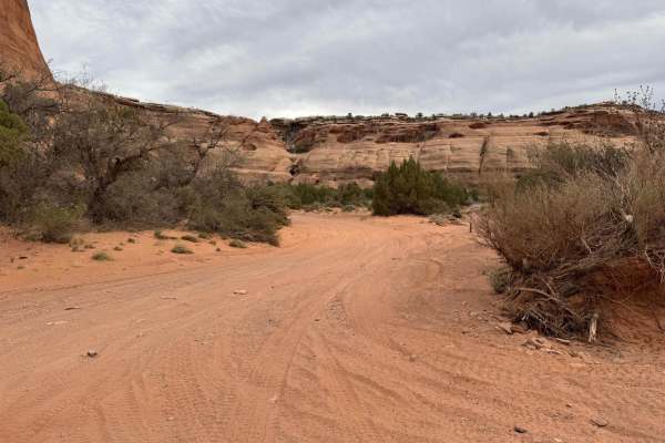 Bridge Canyon Road