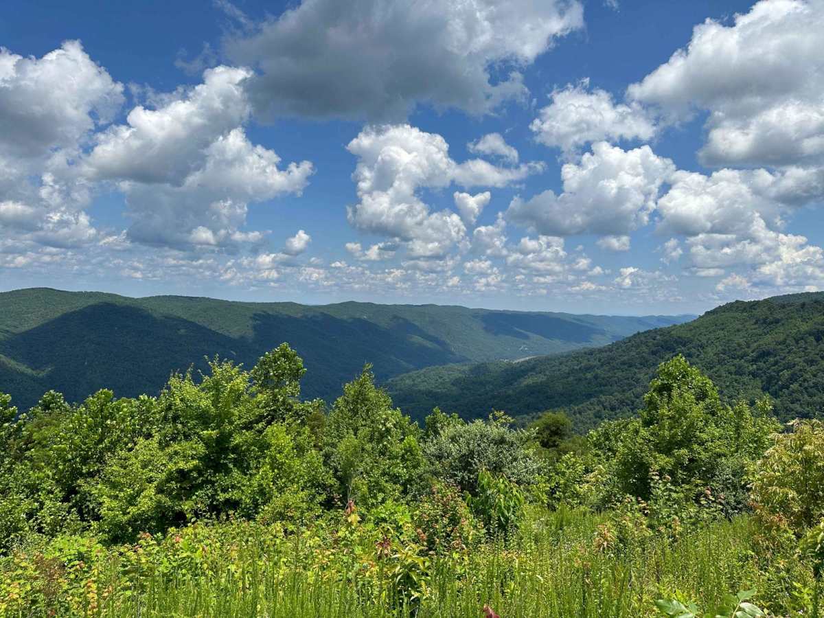 Chloe's Ridge photo 2
