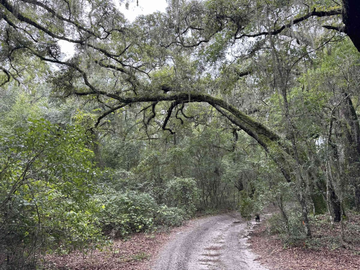 South West Pond Trail - ONF 314 5.7A photo 5