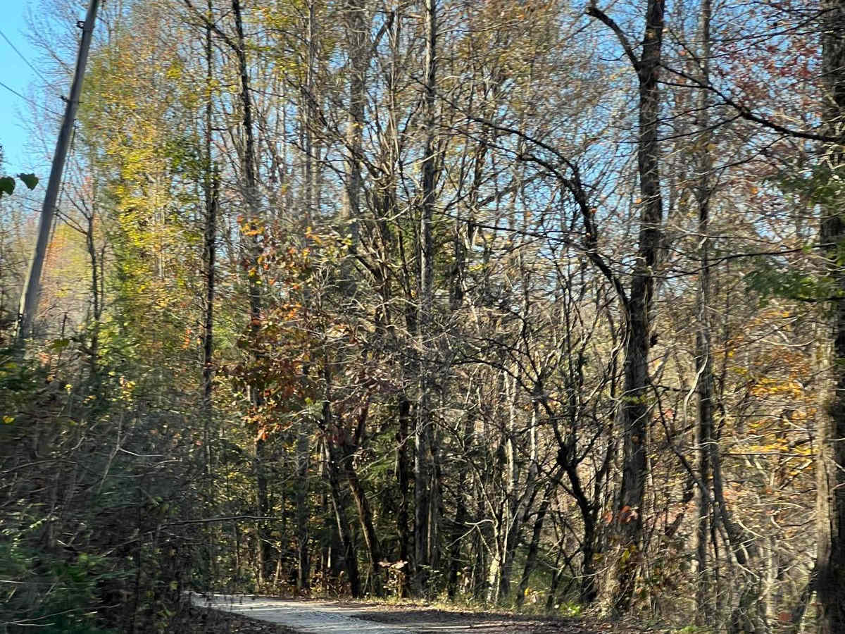 Indian Tomb Hollow Road photo 4