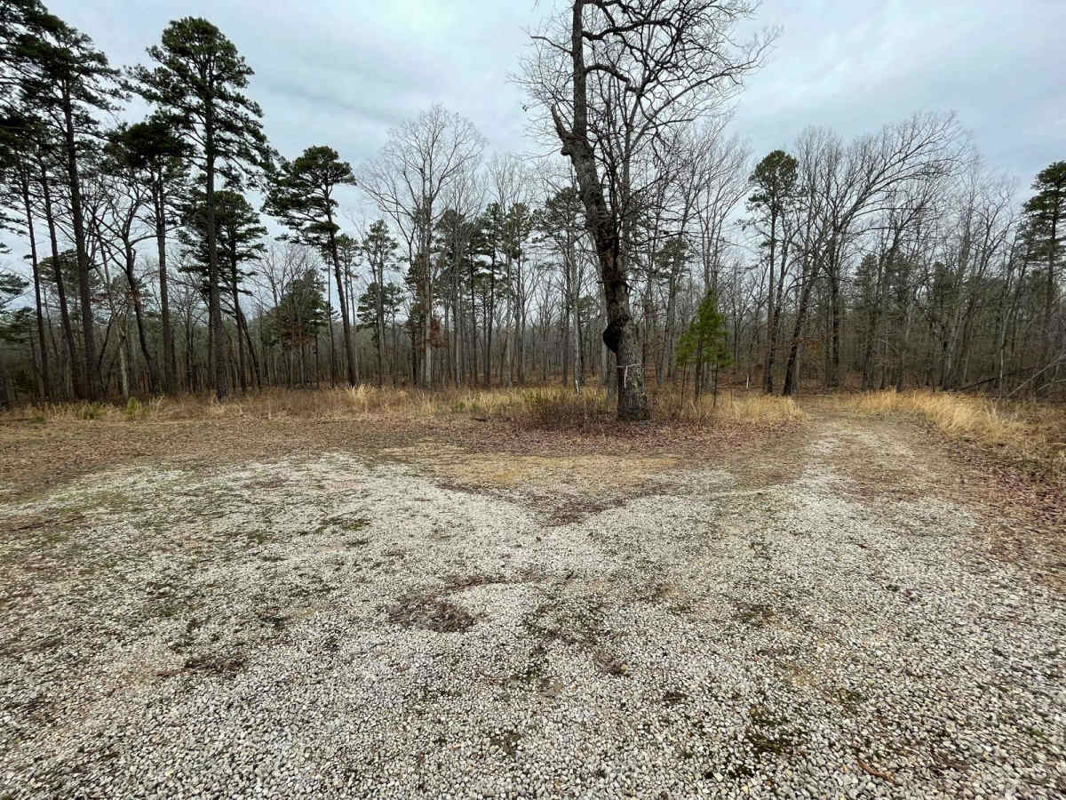 SOUTH GOOSE (FS3116) photo 5