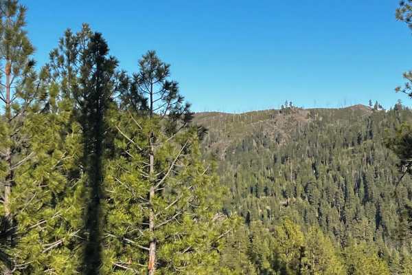 Lower McKay Creek Road to West Fork Mill Creek Road
