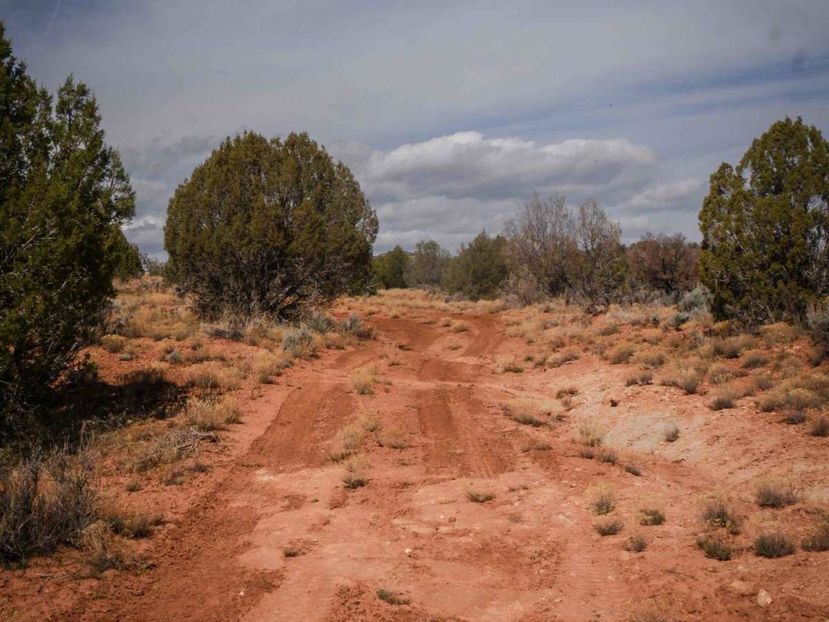 Trail 2 photo 4