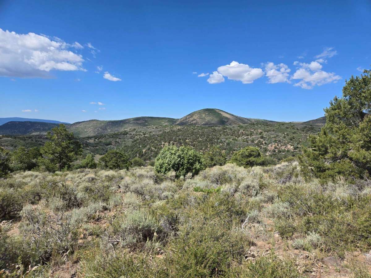 Trail 4994 - FSR 41750 photo 3