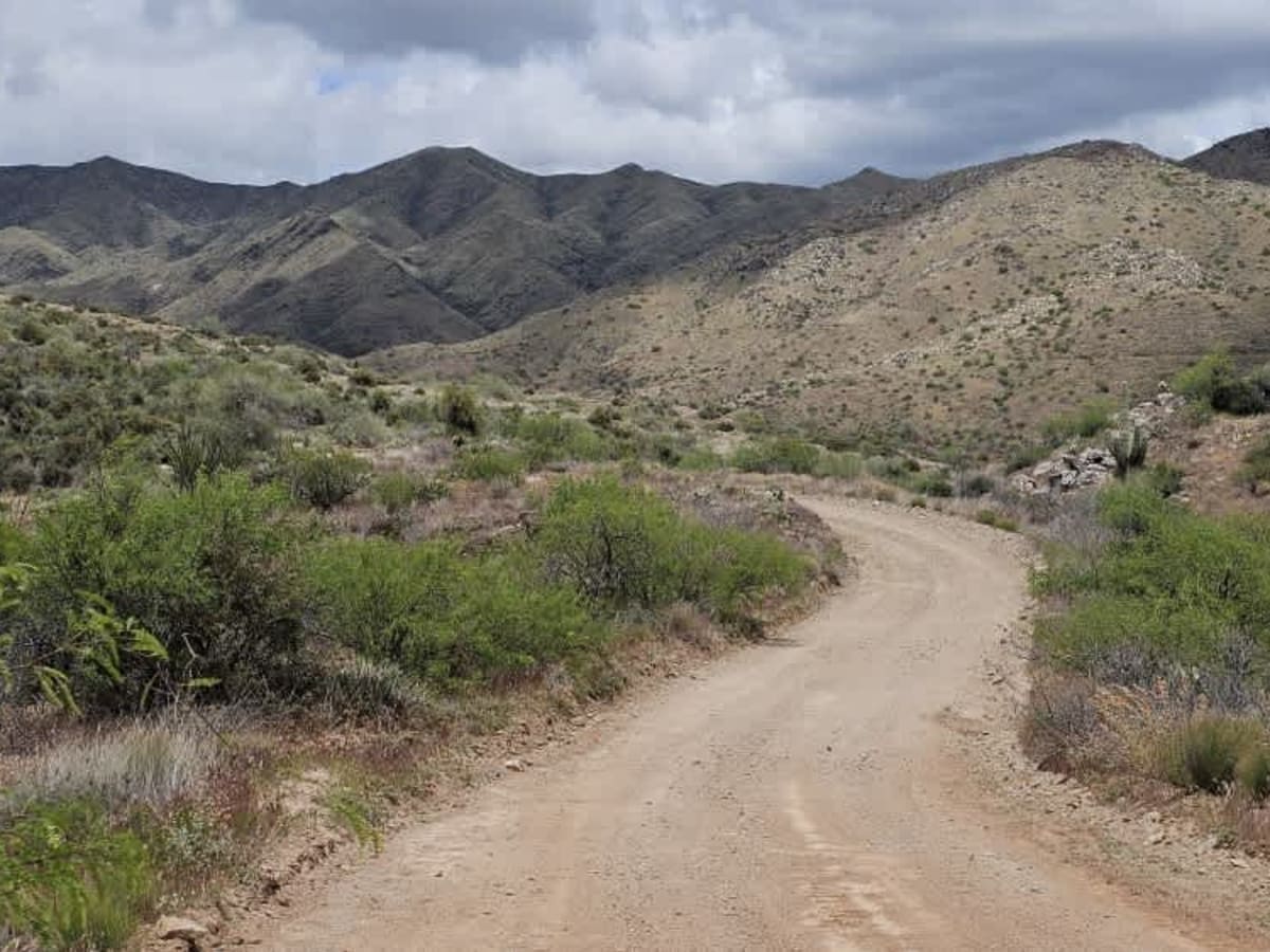 Walker Gulch to French Creek photo 6