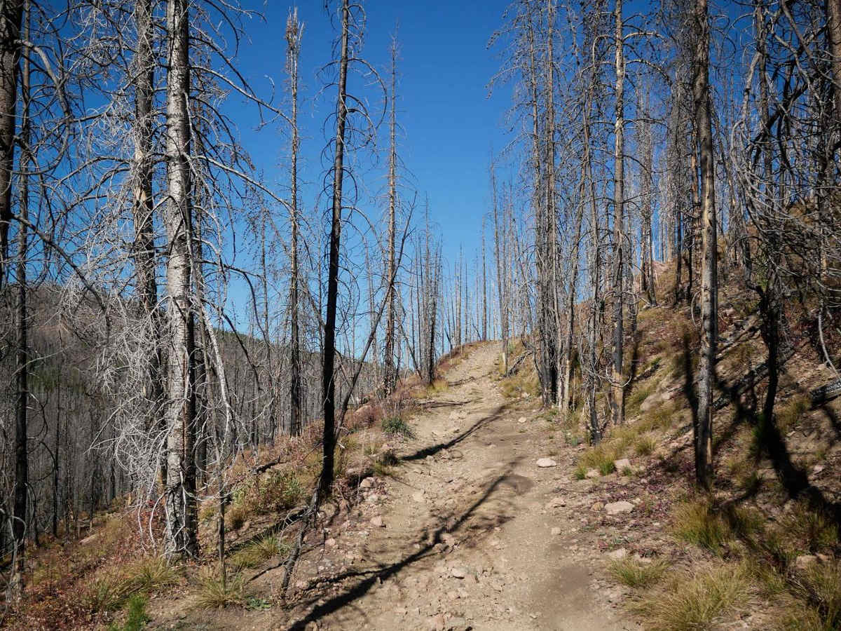 Richey Creek ATV Trail trail photo