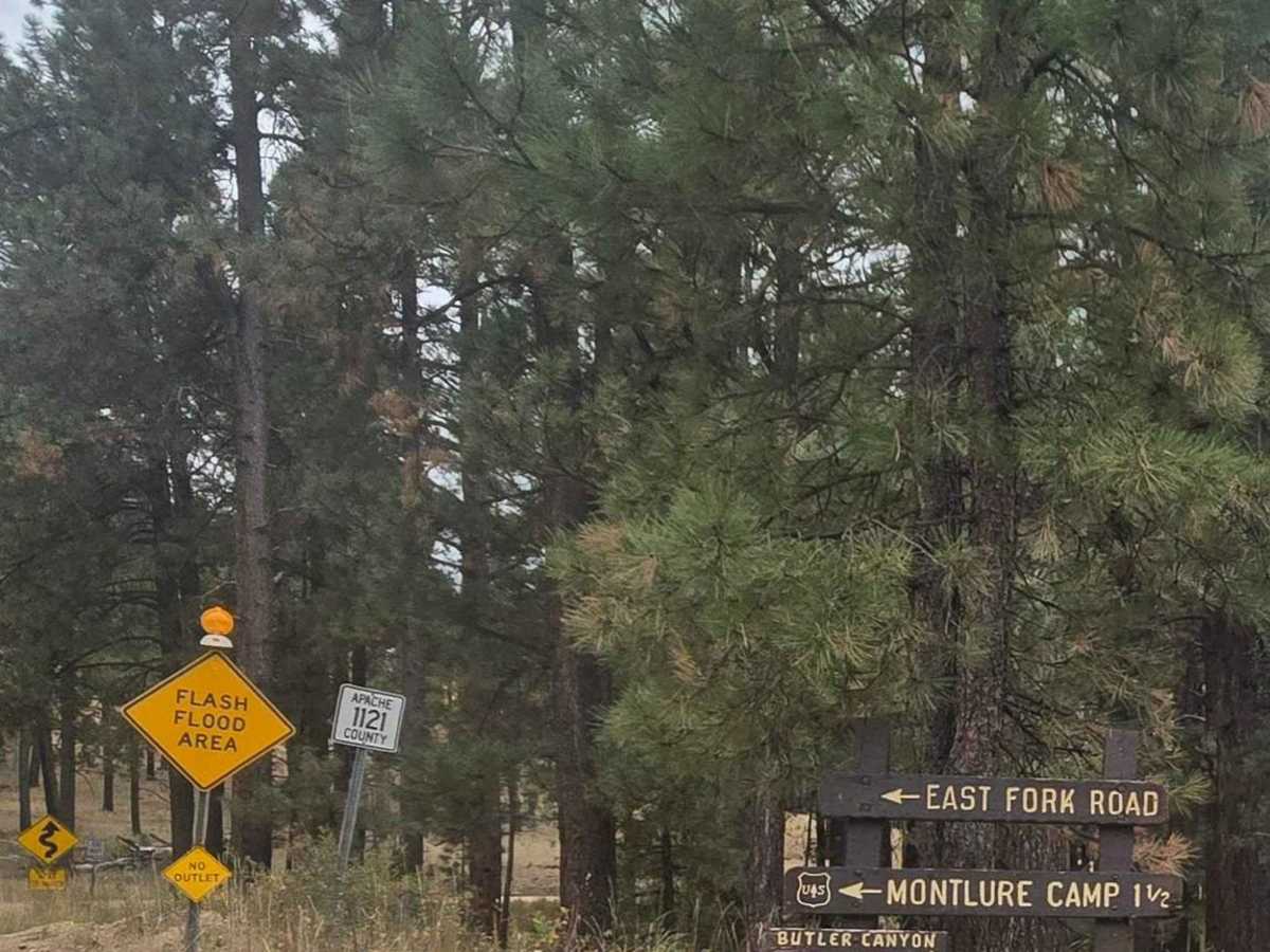 East Fork trail photo