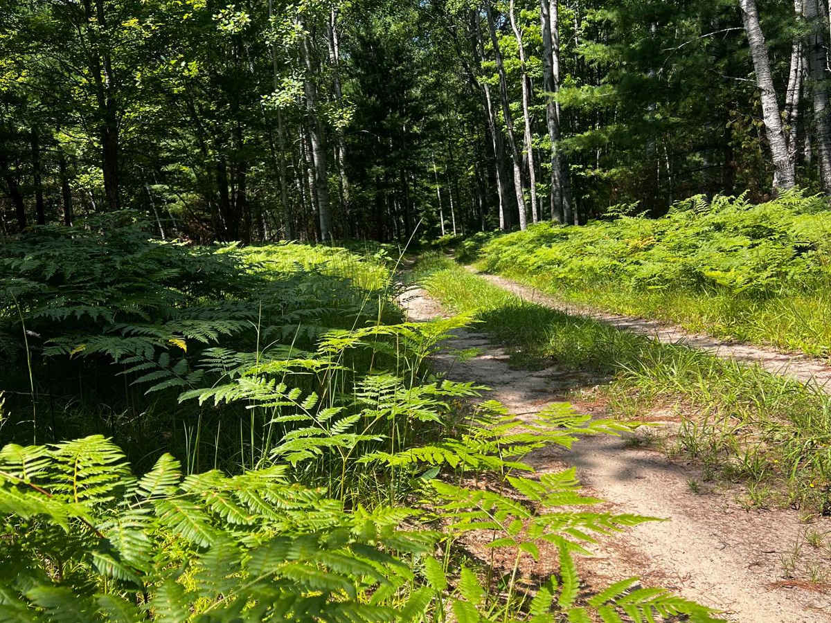 River Overlook Trail photo 4
