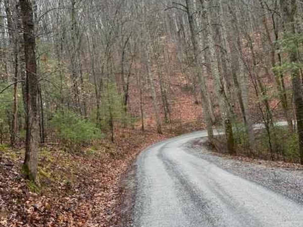 Powell's Gap photo 2