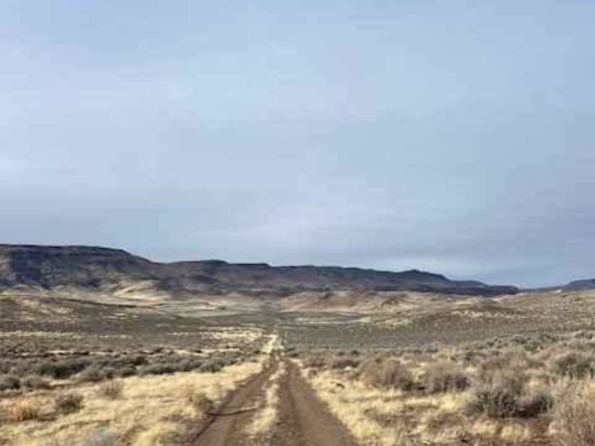 Jackrabbit Run photo 4
