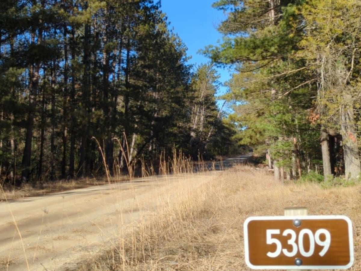 Manistee National Forest Roads 5309-5363 trail photo