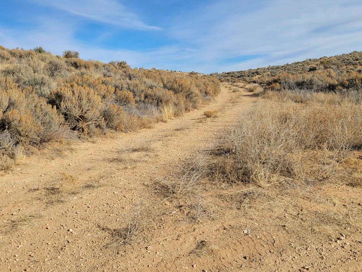 Little Connector trail photo