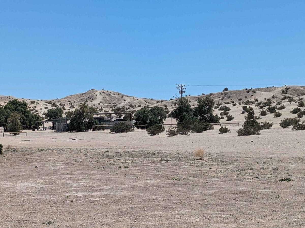 Wolfe Well Road photo 5