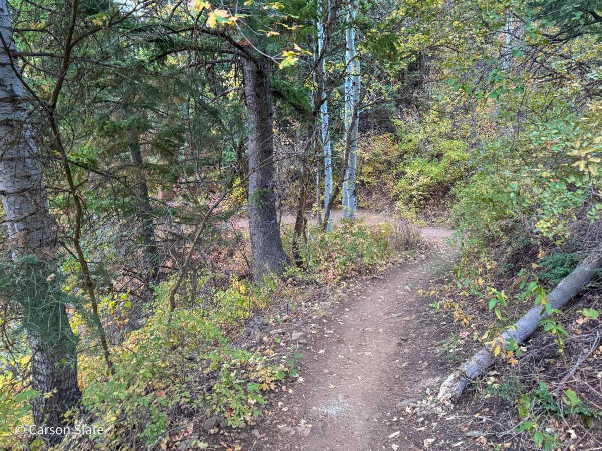 Mueller Park trail photo