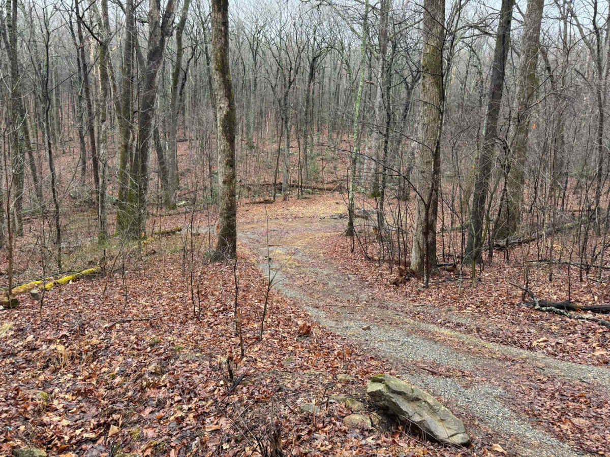 Hunting Creek photo 4
