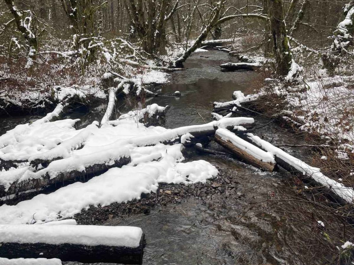 Carlson Creek Road photo 6