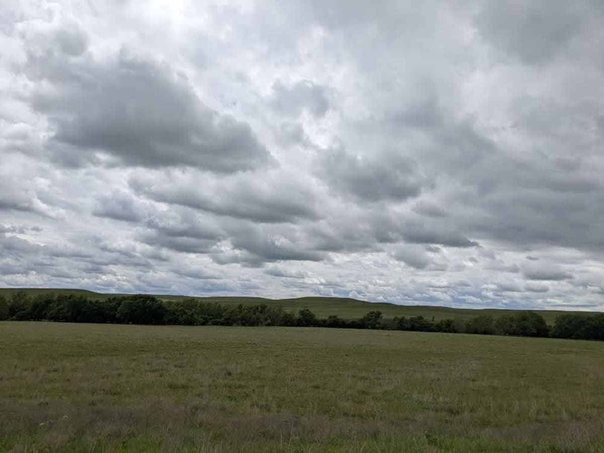 Sharp Creek Road photo 6