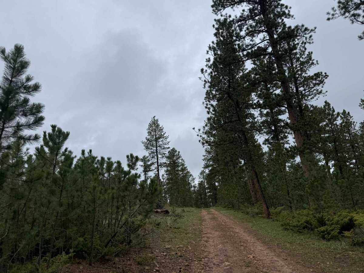 Stots Ridge photo 3
