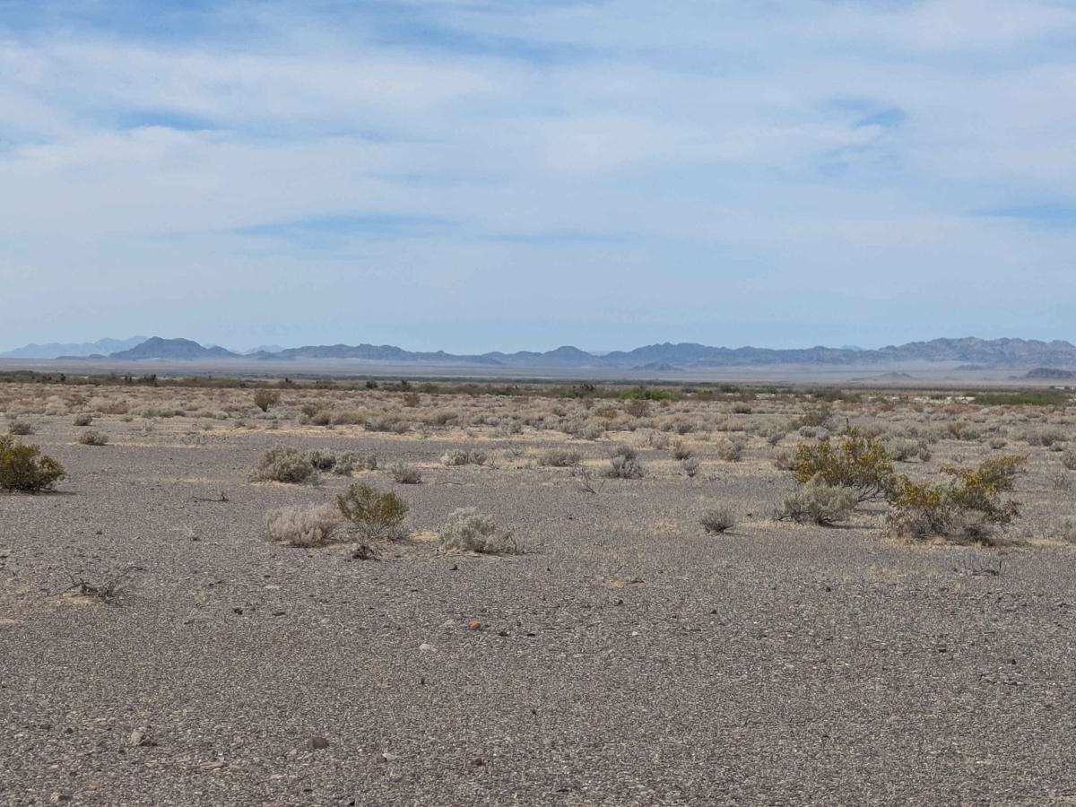 Rocky Wash photo 5