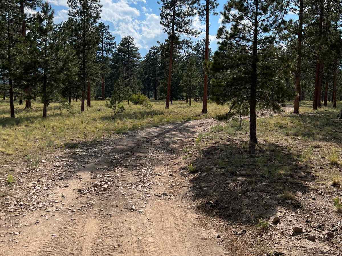 Browns Creek Spur photo 6