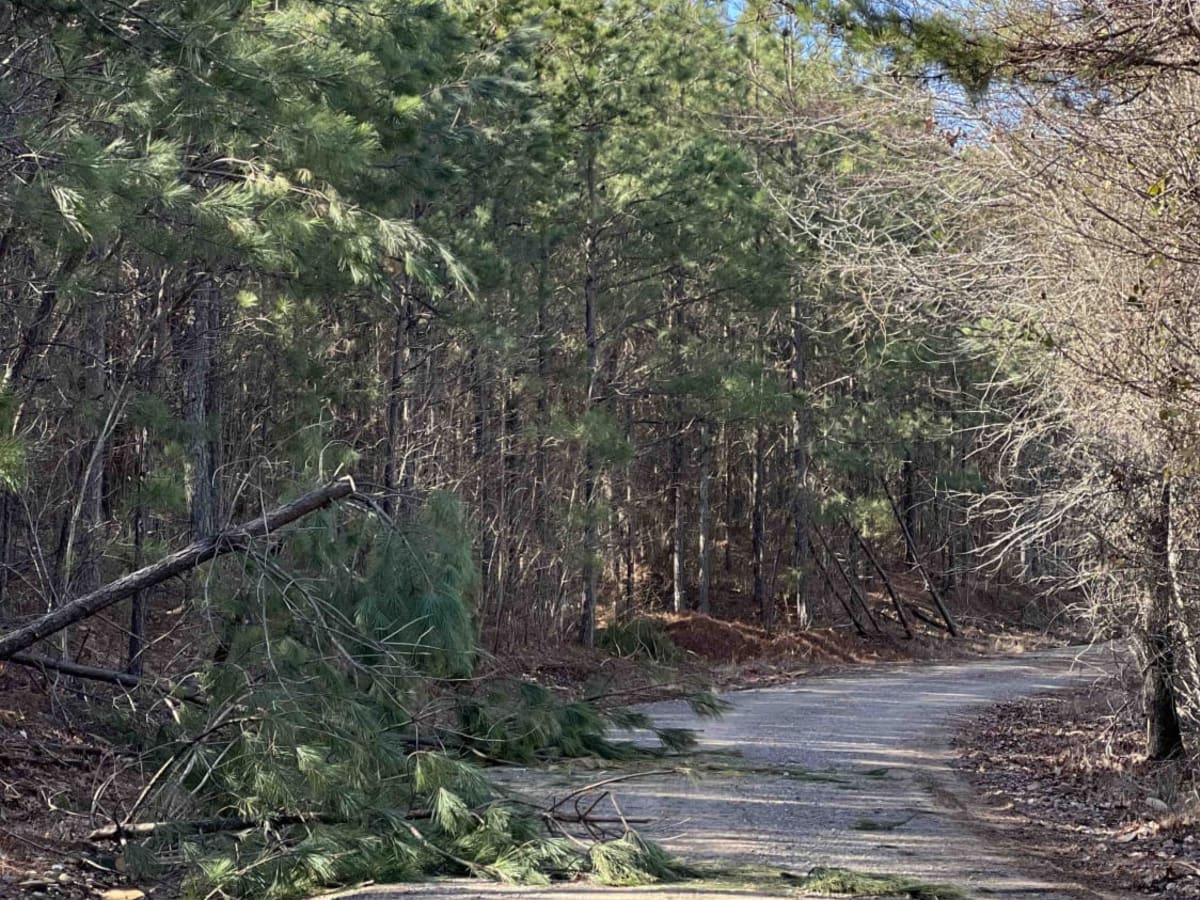 Link Mountain Road 210 photo 4