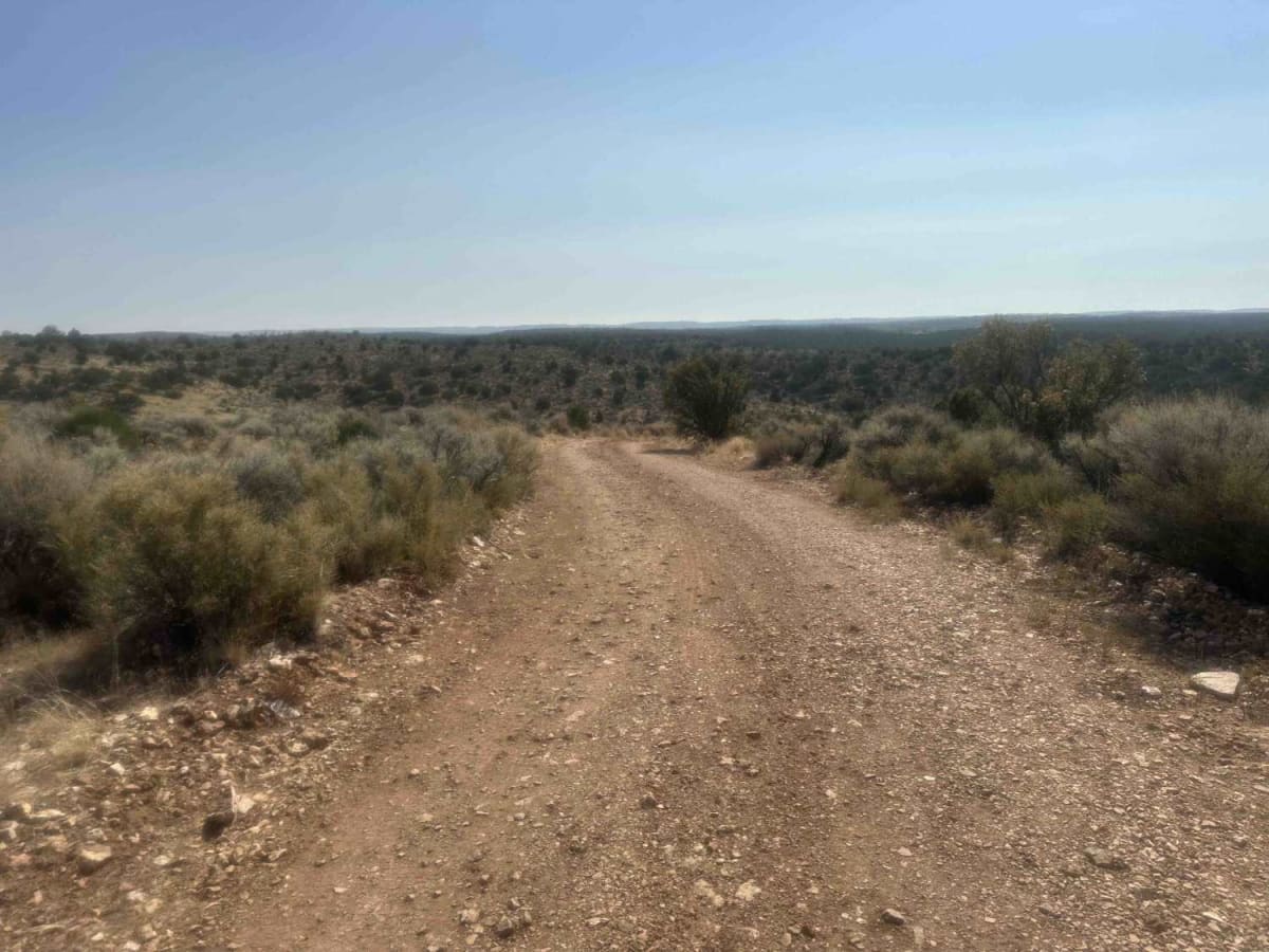 Sowats Point photo 5