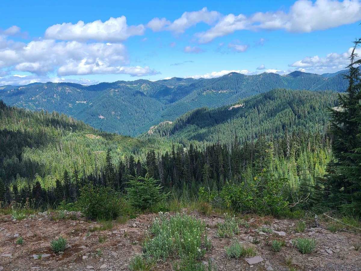 Pioneer Gulch #2149 photo 2