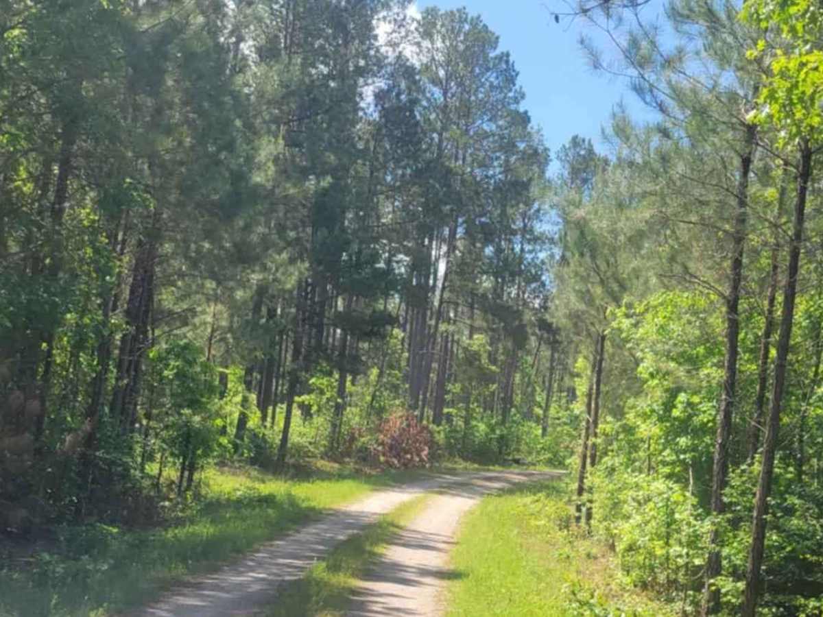 Oval Road - FSR 672 photo 2