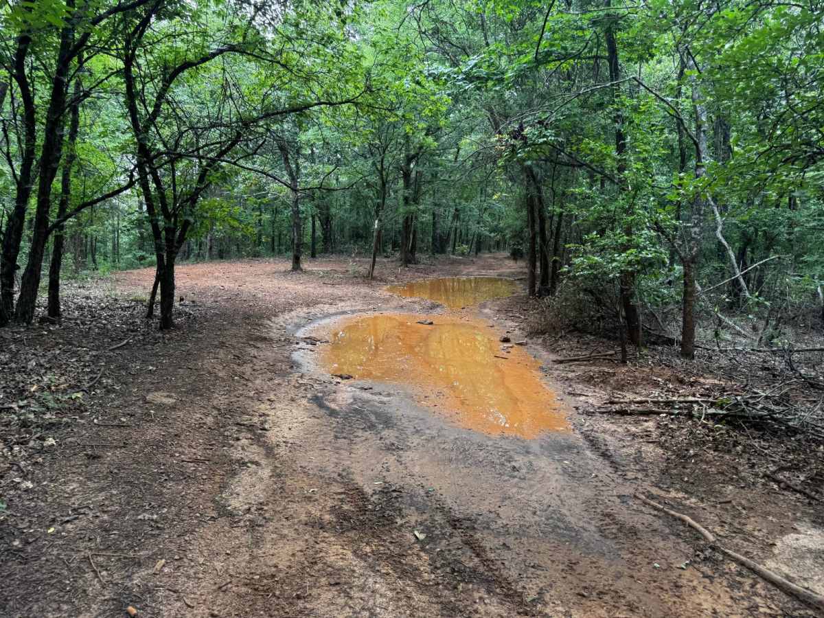 L&B TurnPike  trail photo