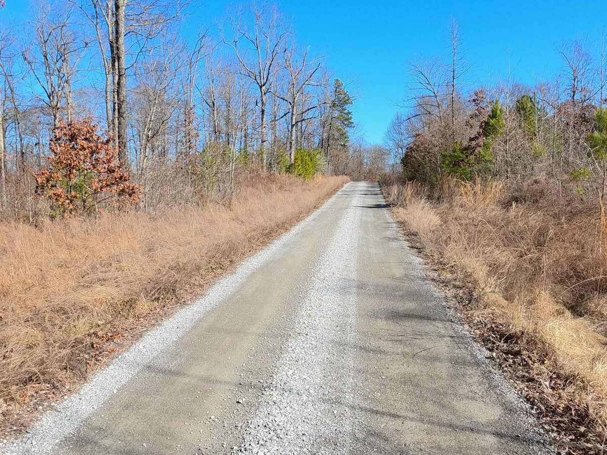 Roger's Road - FS 113 trail photo