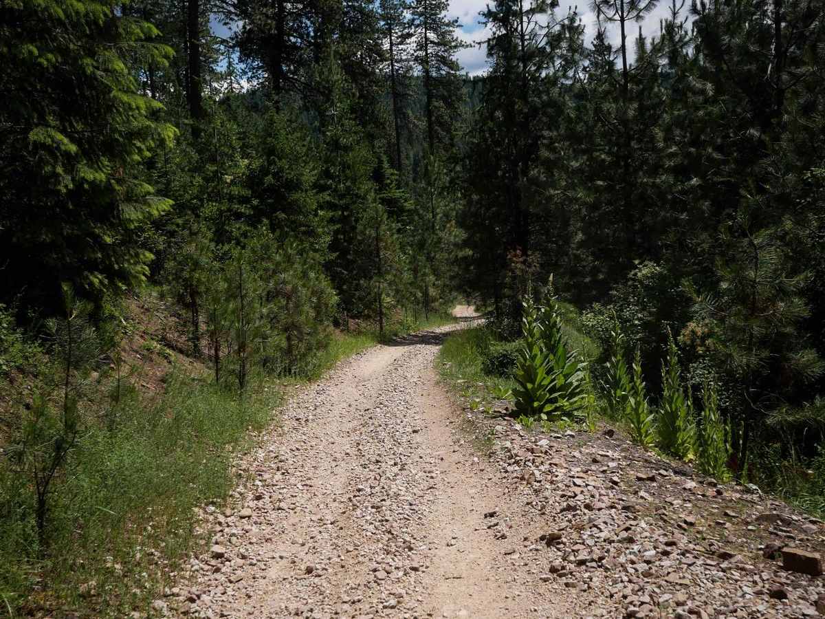 Dry Gulch Bypass OHV photo 3
