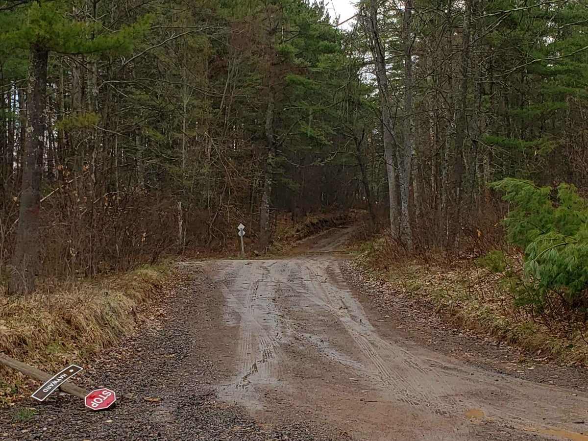 Trail 31 Segment 2 photo 3