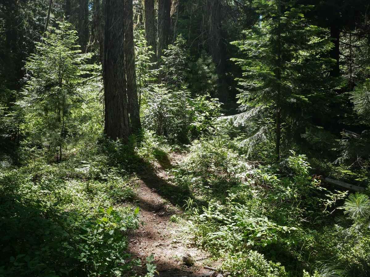 Telichpah Creek NRT photo 3
